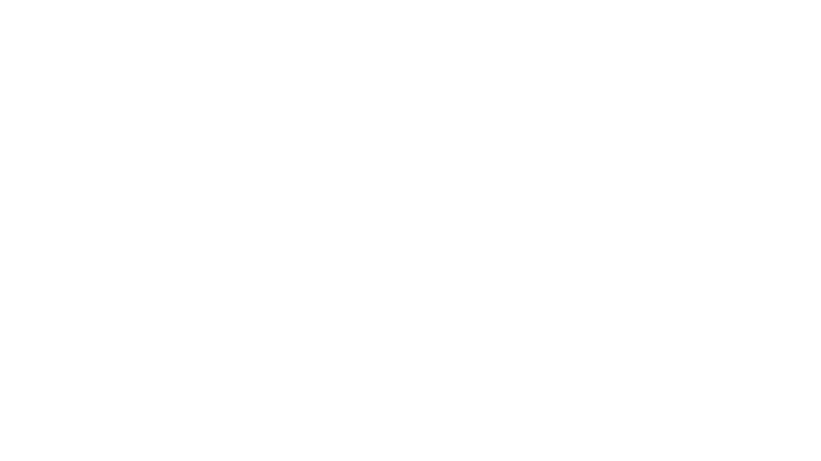 True Vision Now